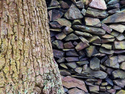 Камень и дерево – основа основ